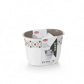 SCOLAPOSATE TOSCA BIANCO/TORTORA CHIARO PLUS