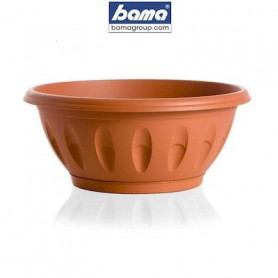 CIOTOLA "ALBA" D 25 C/SOTTOVASO