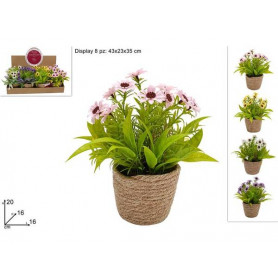 PIANTINA FIORI CON VASO CORDA 4COL IN DISPLAY
