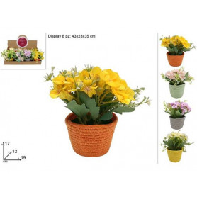 PIANTINA FIORI CON VASO CORDA 4 COL IN DISPLAY