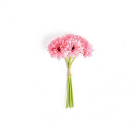 GERBERE 6pz ROSA IN POLIESTERE E PLASTICA 16X16XH.33cm