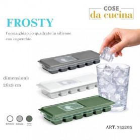 FROSTY FORMA GHIACCIO QUAD. IN SILIC, C/ COPERCHIO 26X9 CM