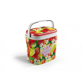 FRIGO PASSIVO 27 LT GRAFICA FRAGOLA