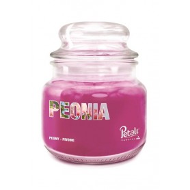 CANDELA 25 H PEONIA